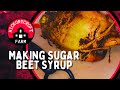 How to make sugar beet syrup at home sugar beets