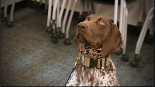 St. Charles County Police K-9 Spirit Joins the Team