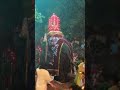 Kotte  perahera eliphant attack 2019