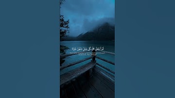 "✨ تلاوة عطرة من القرآن الكريم بصوت خاشع يلامس القلوب❤