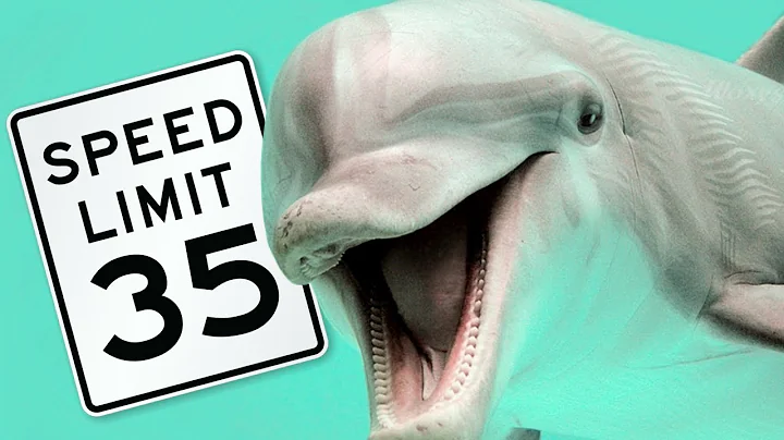 Grays's Paradox- Boundary Layer Effect (Explained)