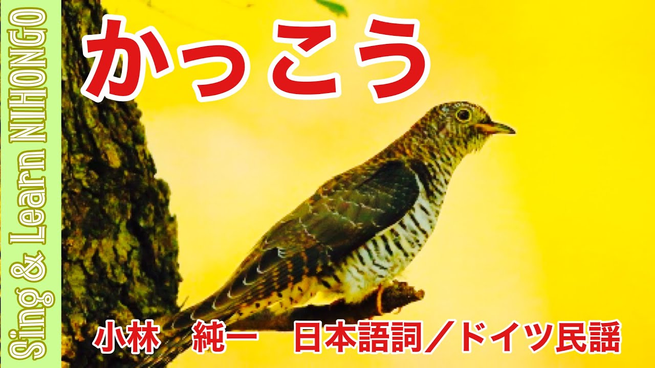 カッコー の 歌