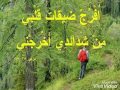 حبيبي ابيض وأحمر