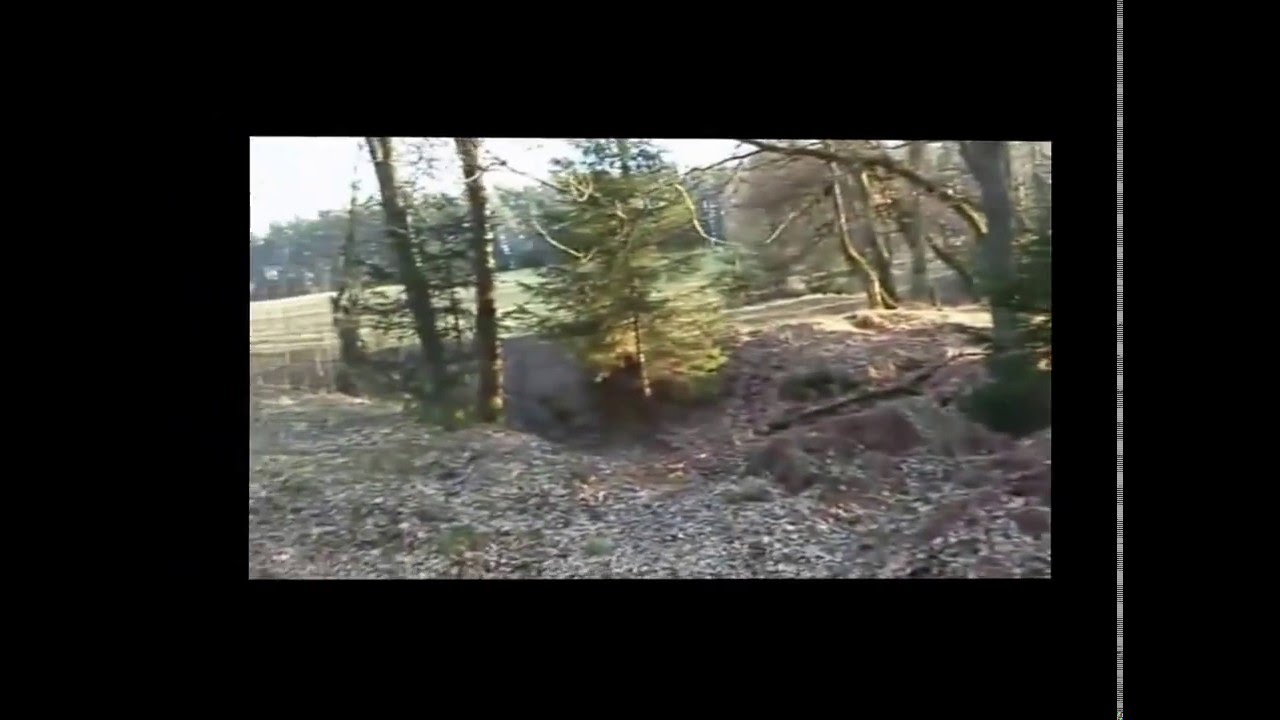 jump special +epic fail camera iphone 8 plus apk