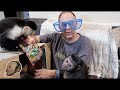 Capuchin Monkey Mail Vlog!