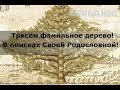 анонс Трясём фамильное дерево! В поисках Своей Родословной! — ПравДиво шоу