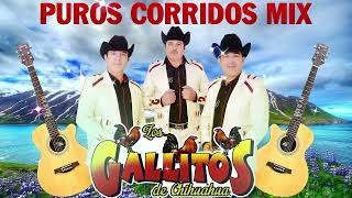 Los Gallitos de Chihuahua Mix Para Pistear 🔥 30 Grandes Exitos by Puros Corridos Mix 264 views 1 year ago 1 hour, 13 minutes