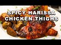Spicy Harissa Chicken Thighs