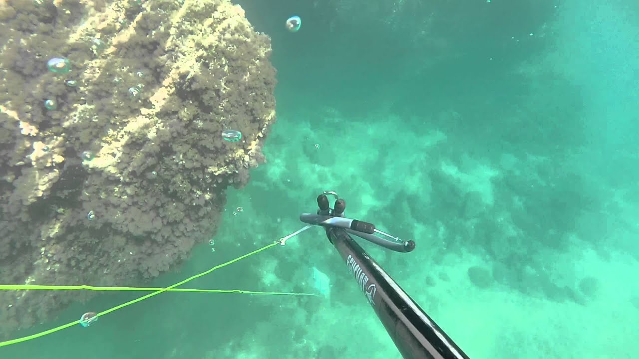 spearfishing greece YouTube