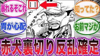 【最新1114話チョイ見せ】赤犬の意味深な表情を見てヤバい事に気づいた読者の反応集【ワンピース】