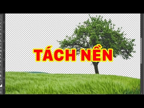 Photoshop Tutorial | Tách nền cây bằng Channel