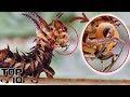 Top 10 Insects Scarier Than The Murder Hornet