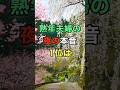 ㊗️170万ビュー🎊熟年夫婦の夜の本音1位は　#名言 #知恵 #開運 #雑学