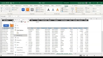 Excel Advanced Filter Explained: Filtering Data Like a Pro - 21, Automation Analytics, MIS Family