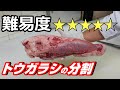 肉屋の店長が【とうがらし】を分割!特徴を解説