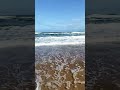 Travel Zen Short: Winter Waves at Daytona Beach | #shorts