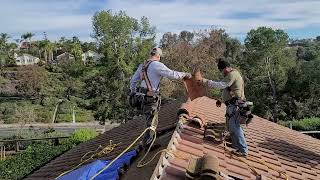 Skylight Repair with Extensive Rotted Plywood Damage - Laguna Niguel Roofing Video 2024 by South County Roofing 299 views 2 months ago 8 minutes, 53 seconds