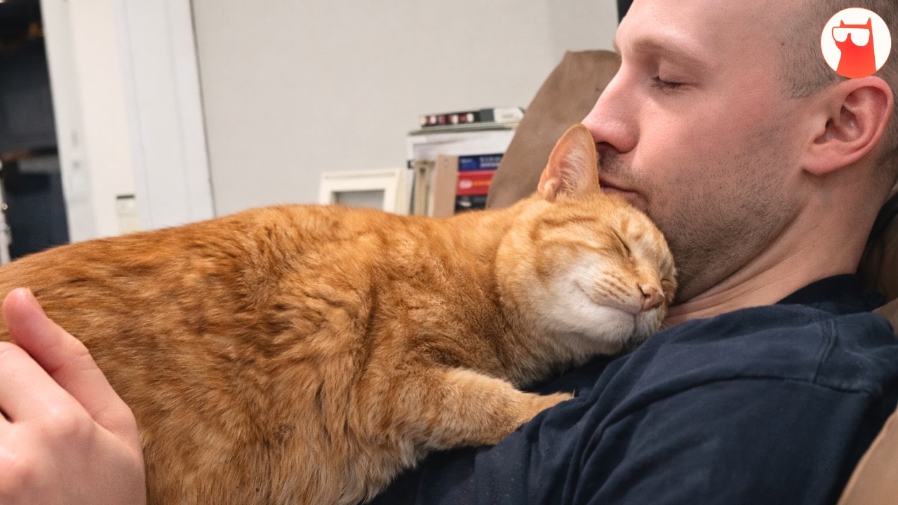 He Thought He Was a Dog Person, Until Two Rescue Cats Changed Everything