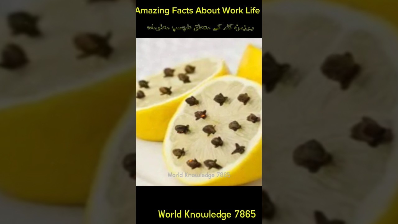 Mind Blowing Thing Health Tips 💯 Useful Kitchen Hacks 🧐|Amazing Facts About Science 