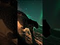 UNBELIEVABLE: Snow Leopard Hunts Under the Northern Lights 🌌🐆 | 4K IMAX #wildlife #CryoWild
