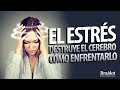 El estrés destruye el cerebro: ¿Cómo enfrentarlo?