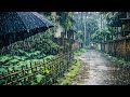 Village Rain Walk in Assam | Monsoon Rain Sounds for Relaxation 🌧️