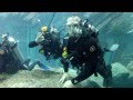 SCUBA diving with sharks at the Dubai Mall!