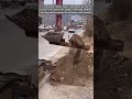 Ingenious Excavator Attachment Makes Roadside Trenching Look Very Easy