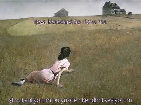 Kim Seokjin - Epiphany Türkçe altyazılı (w/lyrics)