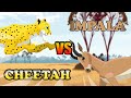 Cheetah vs impala  carnivores vs herbivores s1  animal animation