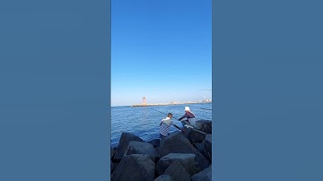 ولو بسط الله الرزق لعباده.                          #سورة الشوري🩵