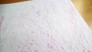 Certificado de nacimiento para tus bebes