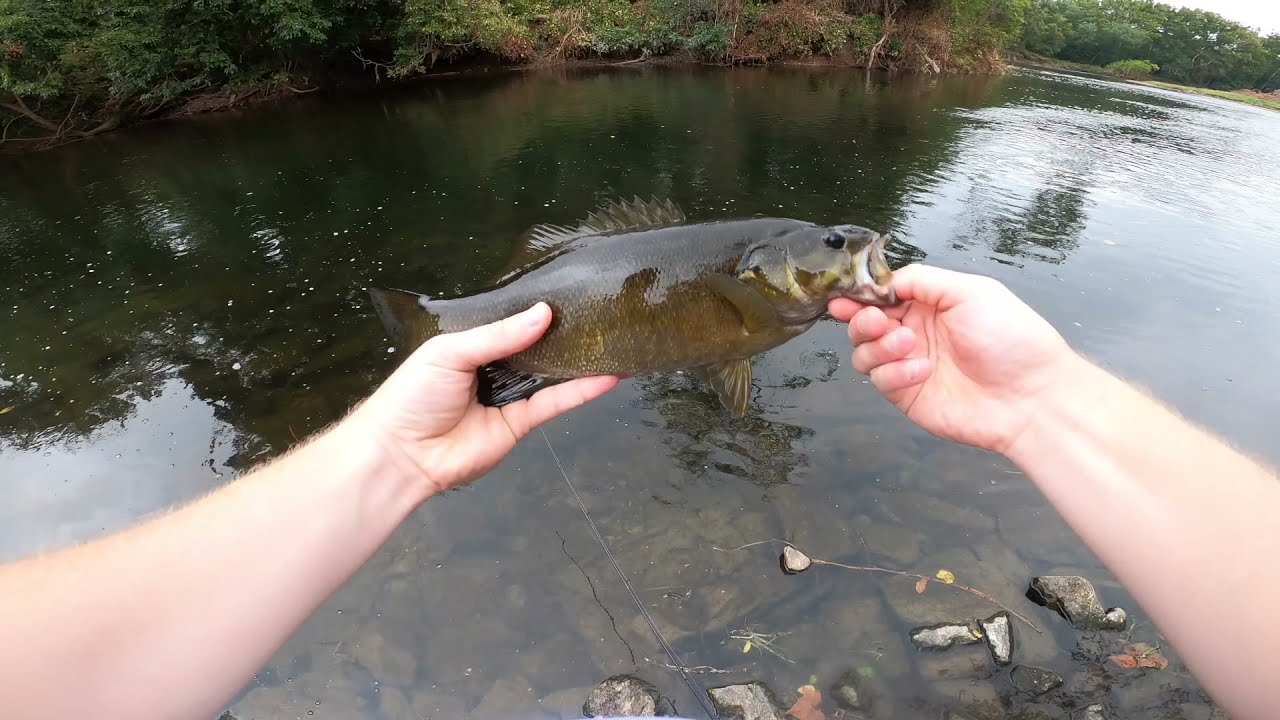 Bass Fishing Neshaminy Creek.