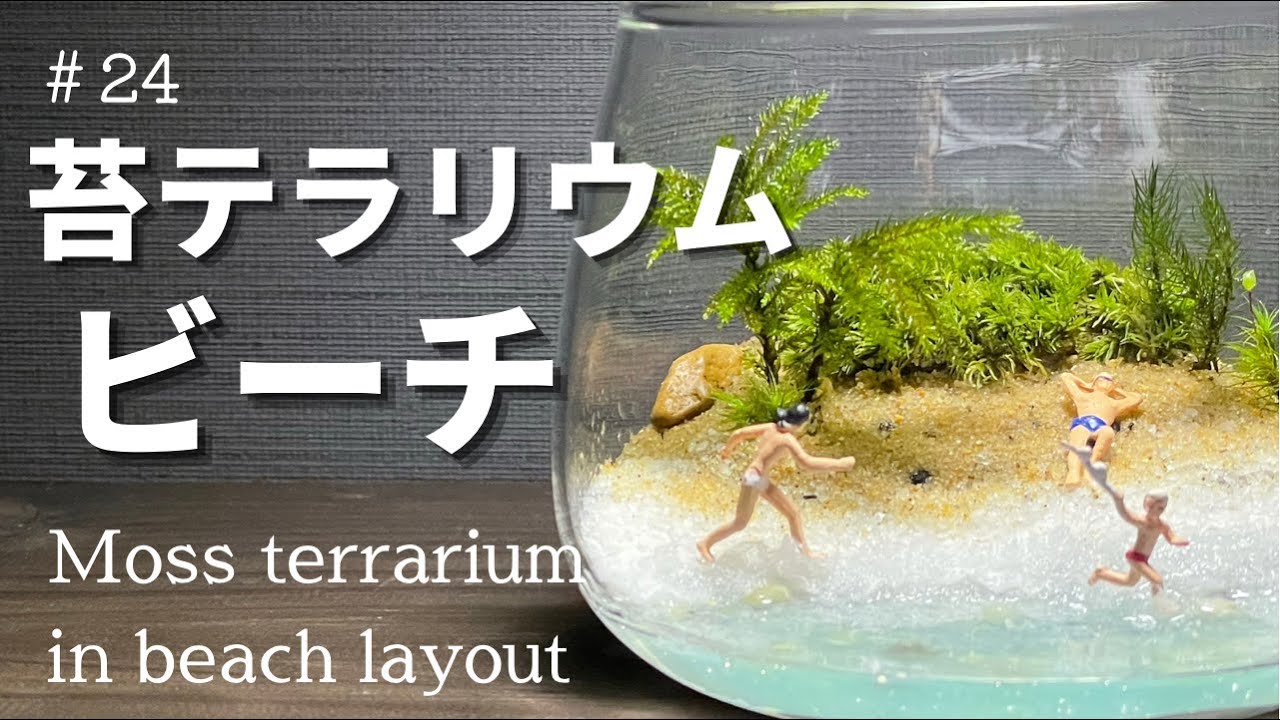 Moss Terrarium レジンを使って透き通る美しい浜辺を作る 苔テラリウムの作り方 Beautiful Clear Beach Moss Terrarium Using Resin Youtube Moss Terrarium レジンを使って透き通る美しい浜辺を作る 苔テラリウムの作り方 Beautiful Clear Beach Moss Terrarium Using Resin Youtube