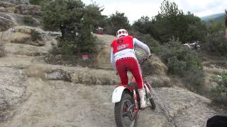 00826Traini11