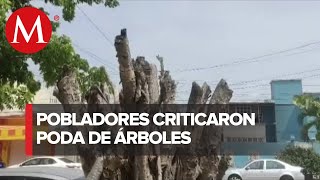 En plena ola de CALOR, ayuntamiento mandó a cortar árboles en Coatzacoalcos