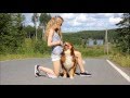 Dog tricks by Australian Shepherd Emmi