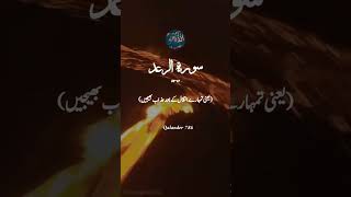 surah raad ayat 40-41#quranurdutranslation #surahraad #Allah #quranvideo #قرآن #Quran
