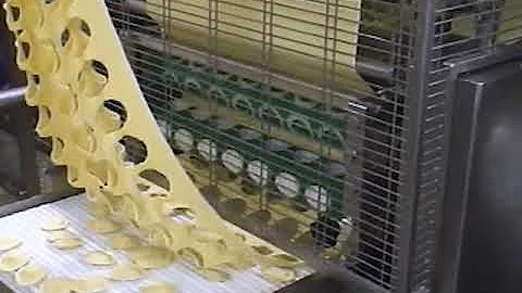 ALMA FRESH PASTA LINE FROM MIXER UP TO THE PACKAGING