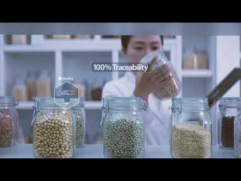 Video NUTRILITE® All Plant Protein Powder - youtube