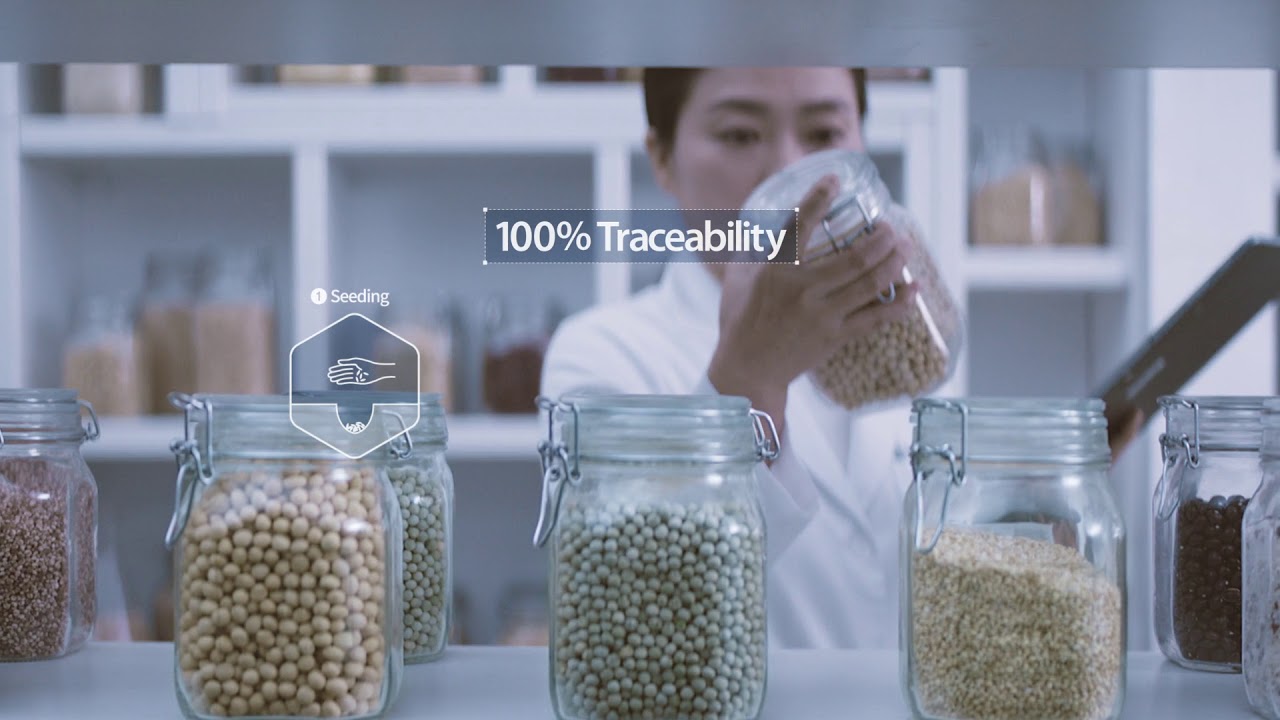 NUTRILITE® All Plant Protein Powder