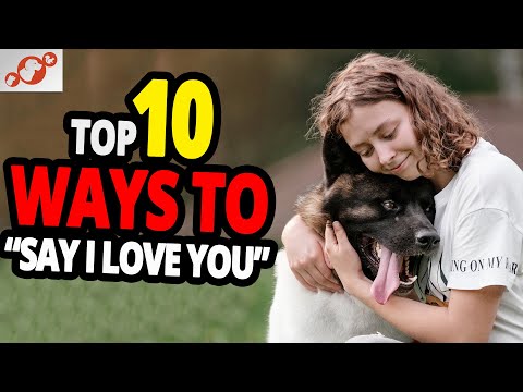 🐕 How To Tell A Dog You Love Them? TOP 10 Ways To Tell Your Dog You Love Them!