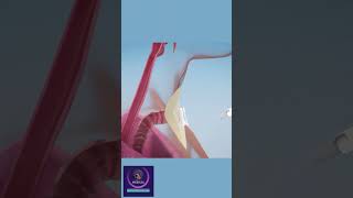 Laryngectomy Surgery Animation #shorts