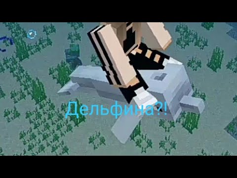 КАК ПРИРУЧИТЬ ДЕЛЬФИНА В МАЙНКРВФТ?!🐬