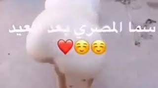 فيديوهات مضحكه على سما المصري