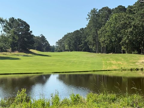 108 Oak Trace Ct, Chapin, SC home video tour