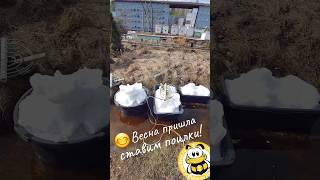 Ставим поилки пчёлам на пасеке Пчеловодство на Урале #ПчёлыНаУралеРф