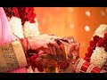 Live wedding reception gursimrat singh gill love shagun  raj digital m9876219146