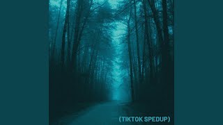 Oneheart (Tiktok Spedup) - snowfall