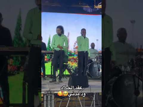 عقد الجلاد ود مدني من أرض الجزيرة